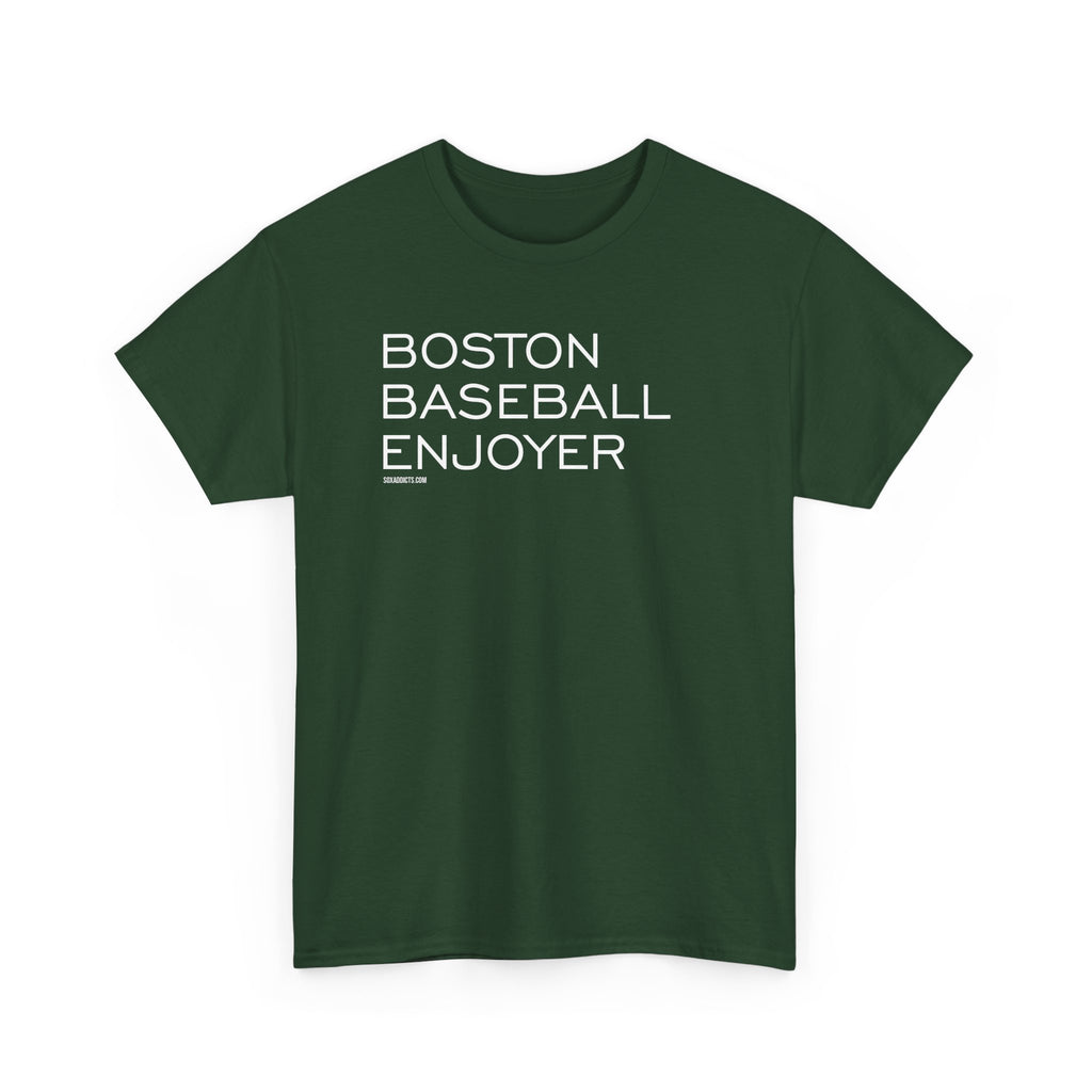 Boston Baseball Enjoyer