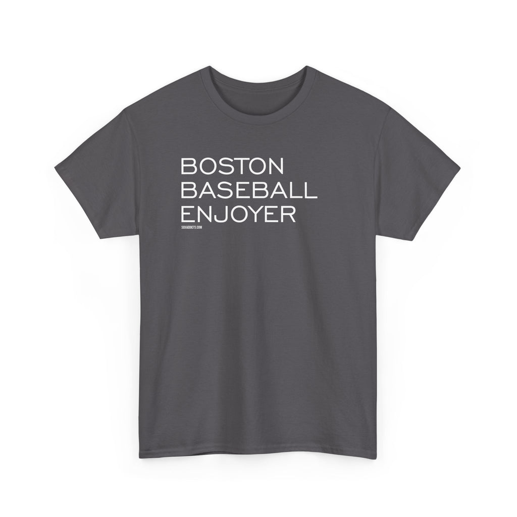 Boston Baseball Enjoyer